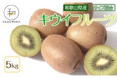 森本農園の キウイフルーツ 約5kg 和歌山県産 サイズ混合 ［北海道・沖縄・離島配送不可］［2026年2月上旬から順次発送］［RN127］