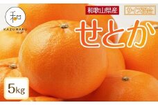 森本農園の手選別 せとか 約5kg 和歌山県産 サイズ混合 ［北海道・沖縄・離島配送不可］［2026年2月上旬から順次発送予定］［RN131］