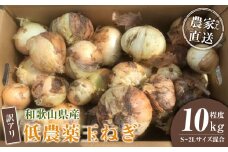 ［2026年発送分・先行予約］訳あり 農家さん直送 低農薬玉ねぎ 10kg程度 S～2L混合［4月中旬～7月中旬頃発送予定］ご家庭用 ※傷有り［KF14］
