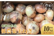 ［2026年発送分・先行予約］農家さん直送 低農薬玉ねぎ 2Lサイズ以上 10kg程度［4月中旬～7月中旬頃発送予定］［KF15］