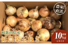 ［2026年発送分・先行予約］農家さん直送 低農薬玉ねぎ Lサイズ 10kg程度［4月中旬～7月中旬頃発送予定］［KF16］