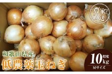 ［2026年発送分・先行予約］農家さん直送 低農薬玉ねぎ Mサイズ 10kg程度［4月中旬～7月中旬頃発送予定］［KF17］