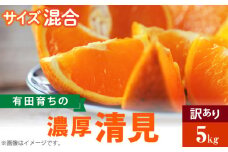 AB6313n_有田育ちの 濃厚 清見 オレンジ【訳あり 家庭用】5kg