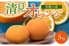 G7066_【2026年先行予約】とにかくジューシー 清見 オレンジ 5kg