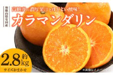 V7415_カラマンダリン [約2.8kg] 和歌山県有田産 春みかん (果実サイズおまかせ) 春柑橘 紀伊国屋文左衛門本舗