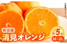 ZN6001n_【2026年先行予約】和歌山県有田産 完熟 清見オレンジ 5kg ひとつひとつ丁寧に厳選！生産者から直送【清見 みかん オレンジ タンゴール きよみ 柑橘 和歌山 有田】