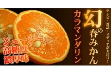V7320_カラマンダリン[約5kg]和歌山県有田産 春みかん (果実サイズおまかせ) 春みかん 紀伊国屋文左衛門本舗 ※お届け日指定不可