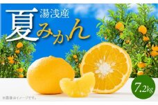 G7074_【2026年先行予約】湯浅産 夏みかん 7.2kg