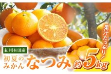 G7072_【2026年先行予約】初夏のみかん なつみ 5kg