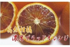 AB6200n_【高級柑橘】濃厚 ブラッドオレンジ タロッコ 3kg