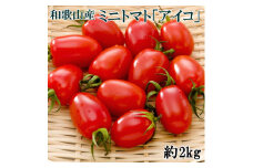 ZD7012_05_和歌山産ミニトマト「アイコトマト」約2kg（S・Mサイズおまかせ）【5月発送】