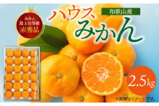 G6029_紀州和歌山 ハウスみかん 2.5kg 赤秀品