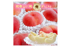 BD6039n_08_[8月出荷]和歌山ブランド 白桃 秀品 2kg
