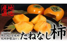 V7284_和歌山の 種なし 柿 約7.5kg【秀品：サイズ・品種おまかせ】和歌山県産【お届け日指定不可】紀伊国屋文左衛門本舗