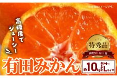 BD6034n_【２０２５年先行予約】高糖度 有田みかん 特秀品 10kg (M～Lサイズおまかせ)【ミカン 蜜柑 柑橘 温州みかん 有田みかん 和歌山】