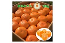 BD7003n_12_[12月出荷] 高糖度 有田みかん 秀品 10kg (M～2Lサイズおまかせ)