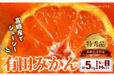 BD6035n_【２０２５年先行予約】高糖度 有田みかん 特秀品 5kg 小玉 (S～Mサイズおまかせ)