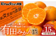 V7440_有田みかん 約15kg (+傷み補填分 1kg) = 合計16kg【サイズおまかせ】/ 産地直送 / 紀伊国屋文左衛門本舗（お届け日指定不可）