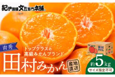 V7450_田村みかん 5kg 青秀 【サイズ指定なし】