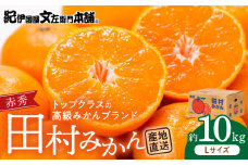 V7442_田村みかん／特選ギフト品10kg【Lサイズ】赤秀／紀州和歌山有田郡湯浅町田村地区産／最高級プレミアムブランドの田村ミカン／紀伊国屋文左衛門本舗(お届け日指定不可)