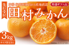 V7454_田村みかん特選ギフト品 3kg 【サイズ指定なし】
