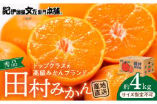 V7453_田村みかん 4kg 秀品 【サイズ指定なし】