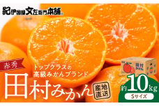 V7444_田村みかん／特選ギフト品10kg【Sサイズ】赤秀／紀州和歌山有田郡湯浅町田村地区産／最高級プレミアムブランドの田村ミカン／紀伊国屋文左衛門本舗(お届け日指定不可)