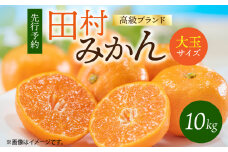 G7052_【2025年 先行予約】 高級ブランド 田村みかん 10kg 大玉サイズ【ミカン 蜜柑 柑橘 温州みかん 有田みかん 和歌山】