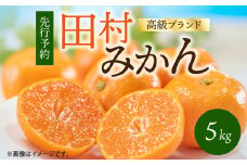 G7340_ 【2025年 先行予約】高級 ブランド 田村みかん 5kg