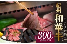 BN6110_【紀州和華牛】焼き肉懐石 300g