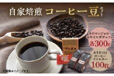 ZD6083n_自家焙煎 コーヒー豆 (キリマンジャロ・モカイルガチェフェ)各300gとカリタ102コーヒーフイルター100枚セット