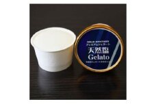 V7133_プレミアムジェラート 天然塩 100ml×12個