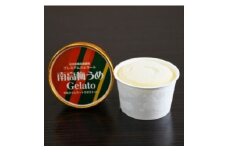 V7135_プレミアムジェラート 南高梅 100ml×12個