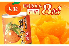 AY6004n_田村みかん 缶詰 8缶セット【フルーツ缶 フルーツ缶詰 みかん 有田みかん 和歌山産】