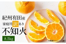 G7359_【2026年先行予約】紀州有田産 不知火 (しらぬい)【家庭用 訳あり】8.5kg