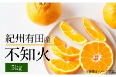 G7356_【2026年先行予約】不知火 5kg デコポン 柑橘の王様 甘い プリプリ ジューシー 濃厚 フルーツ 果実 果物 柑橘 紀州有田産 国産 食品 食べ物 お取り寄せ 魚鶴商店 和歌山県 湯浅町 送料無料