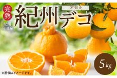 G7361_【2026年先行予約】期間限定 紀州デコ 約 5kg 完熟 紀州 有田産 色 形 味 香り 一級品 プリプリ 果肉 まろやか 甘さ ほどよい 酸味 ジューシー 旨味 不知火 人気品種 柑橘の王様 柑橘 果実 国産 食品 産地直送 お取り寄せ 和歌山県 湯浅町 送料無料