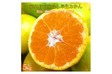 G7097_【2025年先行予約】紀州和歌山有田産 ゆら早生みかん 5kg【ミカン 蜜柑 柑橘 温州みかん わせみかん】