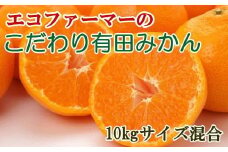 ZD92069_【2025年先行予約】エコファーマーのこだわり 有田みかん 10kg (サイズ混合・秀・優品)【数量限定】