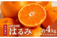 ZD6376n_【厳選・濃厚】【2026年先行予約】 紀州有田産のはるみ 約4kg(サイズおまかせ)【ハルミ 春見 ミカン 蜜柑 柑橘 和歌山 有田】