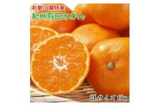 ZD6101n_【秀品】 和歌山 有田みかん 6kg（2Lサイズ）