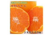 ZD6226n_【ブランドみかん】田村みかん 5kg (2Sサイズ・秀品)