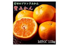 ZD6163_【秀品】【2025年先行予約】有田ブランド 賢みかん 10kg（Mサイズ）