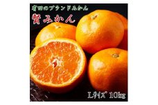 ZD6164_【2025年先行予約】 賢みかん 10kg Lサイズ 有田ブランド 秀品 ブランドみかん 温州みかん 有田みかん 濃厚 甘い 酸味 柑橘 フルーツ 果実 果物 食品 デザート 和歌山県 湯浅町 有田川町 送料無料