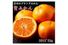 ZD6168n_【秀品】有田ブランド 賢みかん 5kg（Sサイズ）［2024年11月中旬より順次発送］