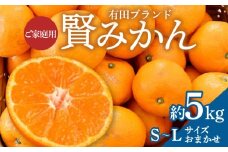 ZD92062_【2025年先行予約】【家庭用】有田ブランド 賢みかん 10kg（S～Lサイズおまかせ）