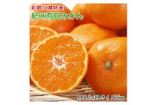 ZD6190n_【2025年先行予約】 【秀品】 和歌山 有田みかん 5kg (MサイズまたはLサイズ) 【ミカン 蜜柑 柑橘 温州みかん 有田みかん】