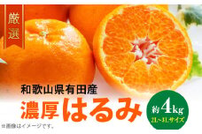 AB6048n_【2026年先行予約】 和歌山有田の濃厚 はるみ 4kg (2L～3Lサイズ)【ハルミ 春見 ミカン 蜜柑 柑橘 和歌山 有田】