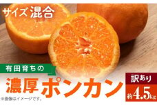 AB6312n_【極甘柑橘】有田育ちの 濃厚 ポンカン 【訳あり 家庭用】4.5kg (サイズ混合)