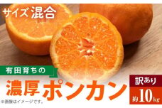 AB7096n_【極甘柑橘】有田育ちの 濃厚 ポンカン 【訳あり 家庭用】10kg (サイズ混合)
